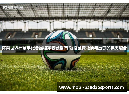 体育世界杯赛事纪念品独家收藏指南 领略足球激情与历史的完美融合 体育世界杯赛事纪念品独家收藏指南 领略足球激情与历史的完美融合