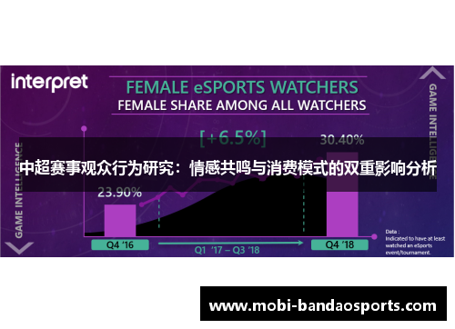 中超赛事观众行为研究：情感共鸣与消费模式的双重影响分析