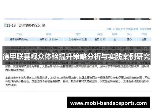 德甲联赛观众体验提升策略分析与实践案例研究 德甲联赛观众体验提升策略分析与实践案例研究