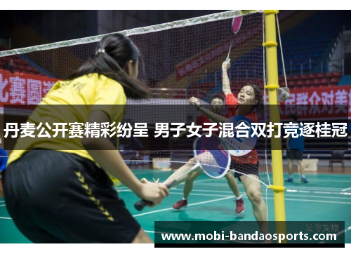 丹麦公开赛精彩纷呈 男子女子混合双打竞逐桂冠 丹麦公开赛精彩纷呈 男子女子混合双打竞逐桂冠