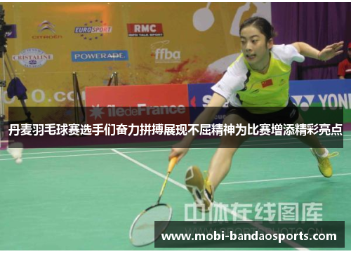 丹麦羽毛球赛选手们奋力拼搏展现不屈精神为比赛增添精彩亮点 丹麦羽毛球赛选手们奋力拼搏展现不屈精神为比赛增添精彩亮点