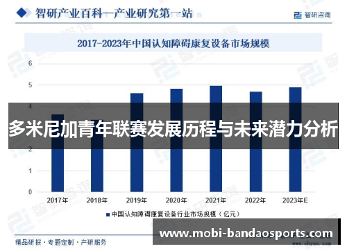 多米尼加青年联赛发展历程与未来潜力分析
