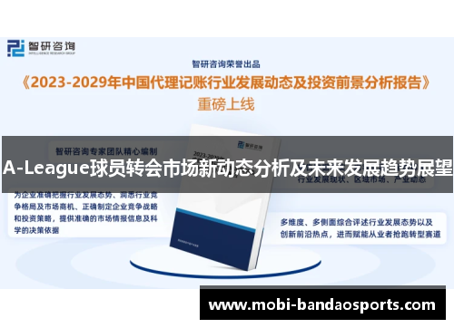 A-League球员转会市场新动态分析及未来发展趋势展望