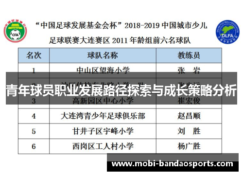 青年球员职业发展路径探索与成长策略分析