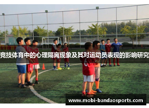 竞技体育中的心理隔离现象及其对运动员表现的影响研究