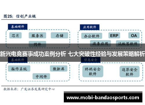 新兴电竞赛事成功案例分析 七大突破性经验与发展策略解析 新兴电竞赛事成功案例分析 七大突破性经验与发展策略解析