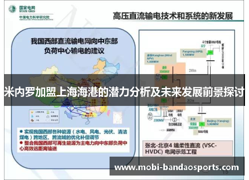 米内罗加盟上海海港的潜力分析及未来发展前景探讨