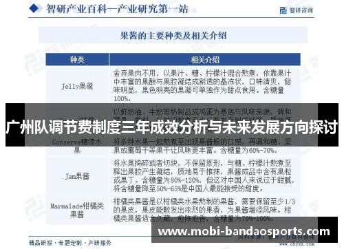 广州队调节费制度三年成效分析与未来发展方向探讨 广州队调节费制度三年成效分析与未来发展方向探讨