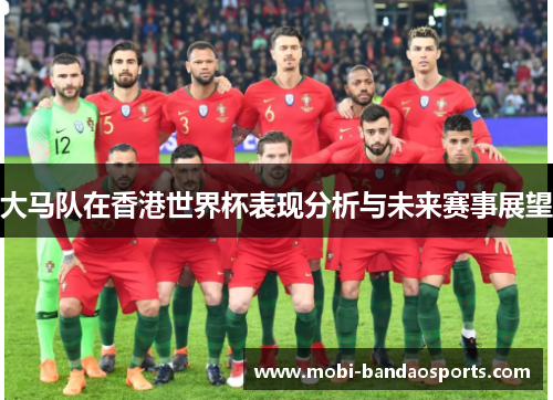 大马队在香港世界杯表现分析与未来赛事展望