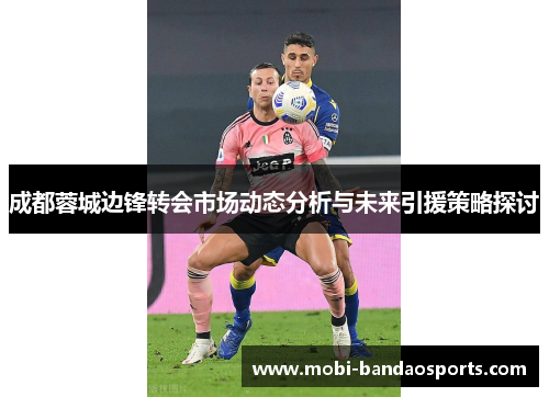 成都蓉城边锋转会市场动态分析与未来引援策略探讨