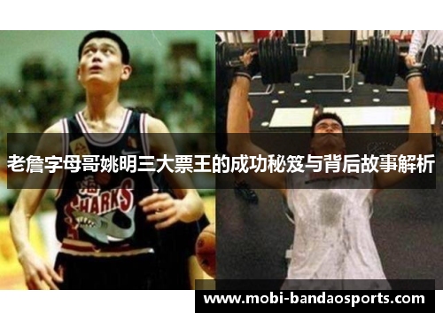 老詹字母哥姚明三大票王的成功秘笈与背后故事解析