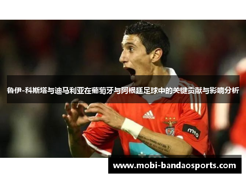 鲁伊-科斯塔与迪马利亚在葡萄牙与阿根廷足球中的关键贡献与影响分析