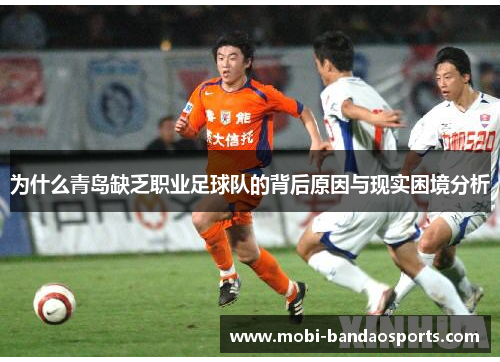 为什么青岛缺乏职业足球队的背后原因与现实困境分析