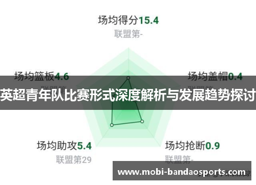 英超青年队比赛形式深度解析与发展趋势探讨 英超青年队比赛形式深度解析与发展趋势探讨