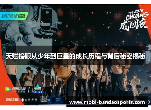 天赋榜眼从少年到巨星的成长历程与背后秘密揭秘 天赋榜眼从少年到巨星的成长历程与背后秘密揭秘