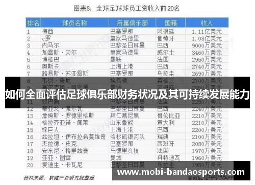 如何全面评估足球俱乐部财务状况及其可持续发展能力 如何全面评估足球俱乐部财务状况及其可持续发展能力