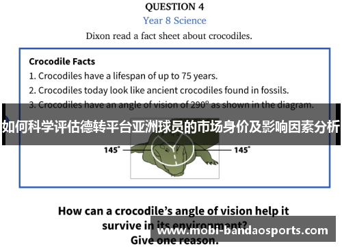 如何科学评估德转平台亚洲球员的市场身价及影响因素分析
