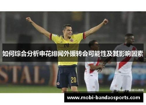 如何综合分析申花绯闻外援转会可能性及其影响因素
