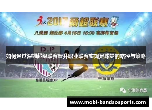 如何通过深圳超级联赛晋升职业联赛实现足球梦的路径与策略