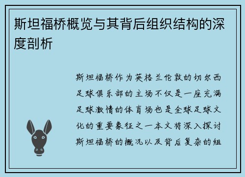 斯坦福桥概览与其背后组织结构的深度剖析